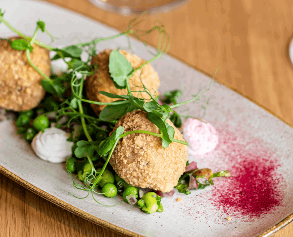 Resized imagery for website - 2026-02-13T105140.274