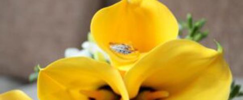 popular flowers for weddings