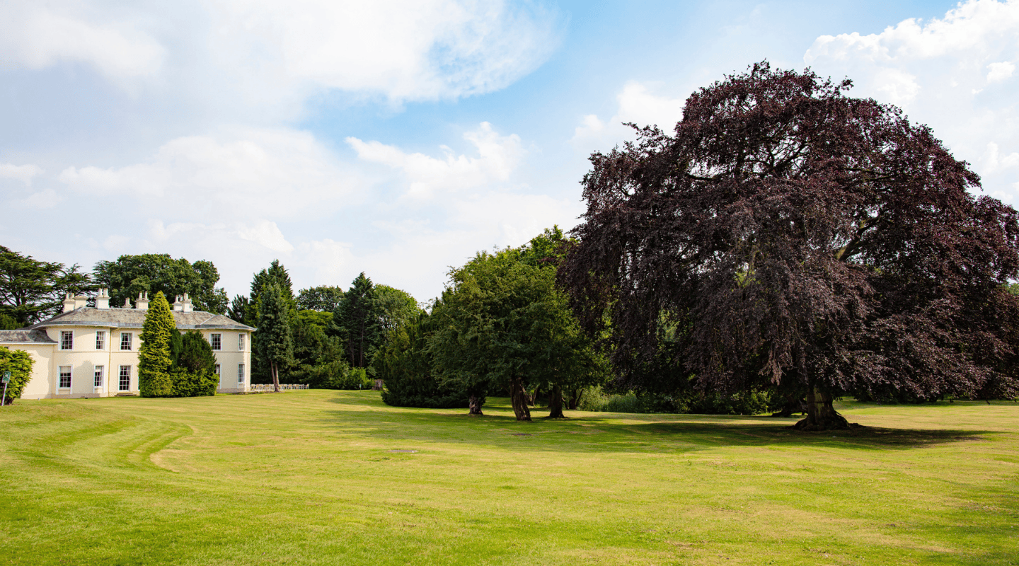 Resized imagery for website - 2026-04-02T125431.449