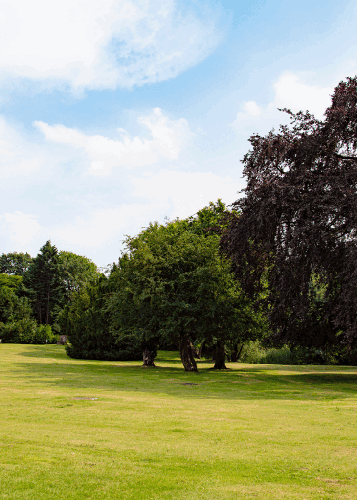 Resized imagery for website - 2026-04-02T125431.449