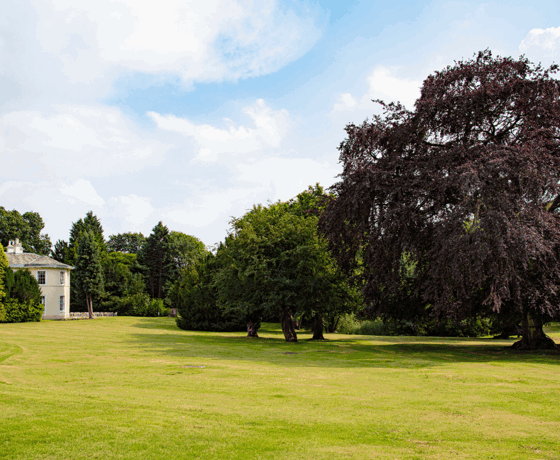 Resized imagery for website - 2026-04-02T125431.449