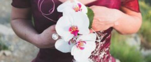 popular flowers for weddings