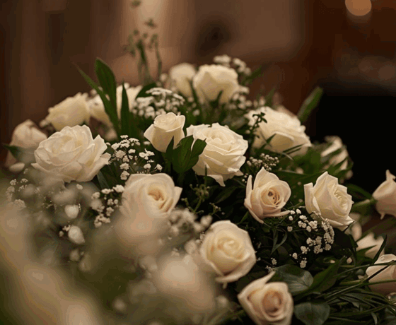 Resized imagery for website - 2026-03-24T085946.000