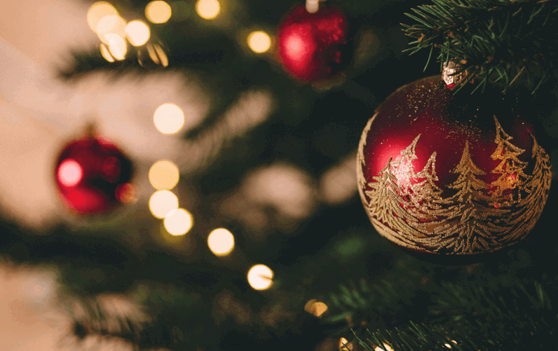 Resized imagery for website - 2026-02-10T120944.914