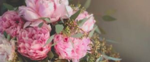 popular flowers for weddings