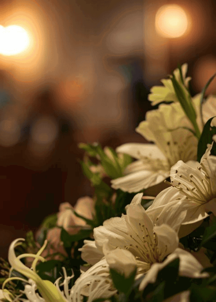 Resized imagery for website - 2026-03-24T085926.864