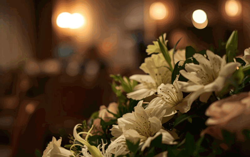 Resized imagery for website - 2026-03-24T085926.864