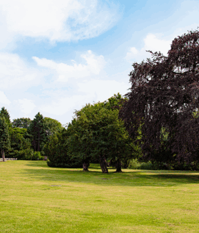 Resized imagery for website - 2026-04-02T125431.449