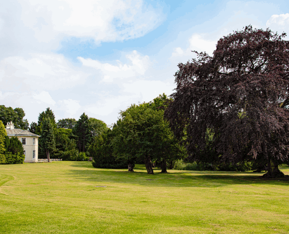 Resized imagery for website - 2026-04-02T125431.449