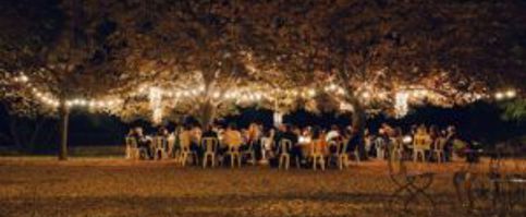 outdoor wedding ideas