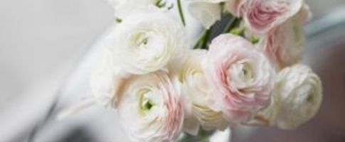 popular flowers for weddings