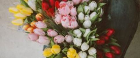 popular flowers for weddings