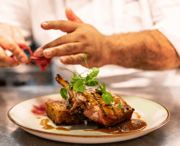 Resized imagery for website - 2026-02-13T105153.105