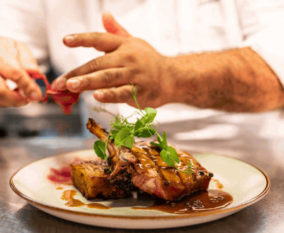 Resized imagery for website - 2026-02-13T105153.105