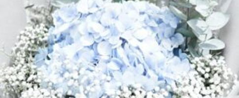 popular flowers for weddings