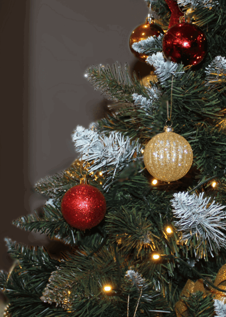 Resized imagery for website (98)