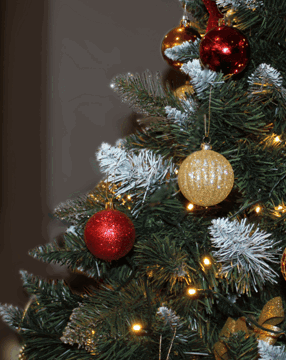 Resized imagery for website (98)