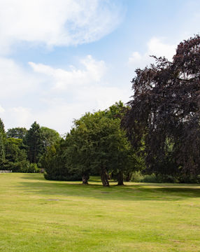 Eastwood - Grounds - 0629