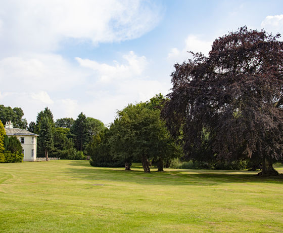 Eastwood - Grounds - 0629