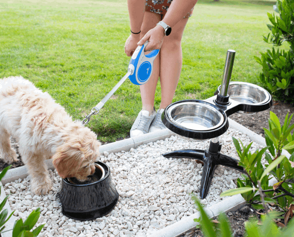 Resized imagery for website - 2026-04-02T143959.331