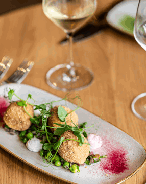 Resized imagery for website - 2026-02-13T105238.517