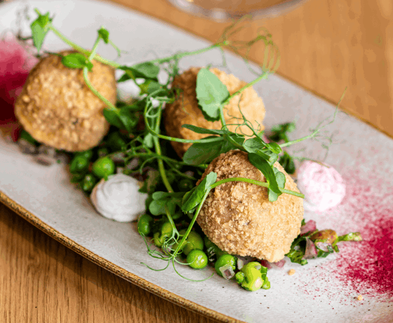 Resized imagery for website - 2026-02-13T105140.274