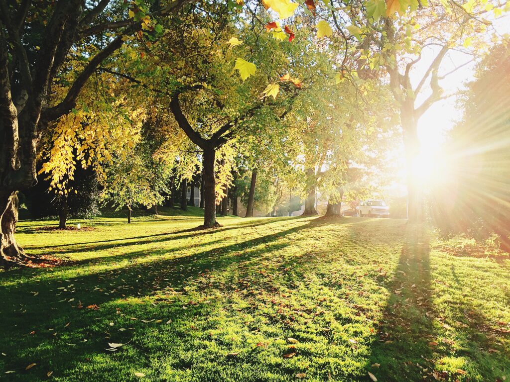Highfields Park
