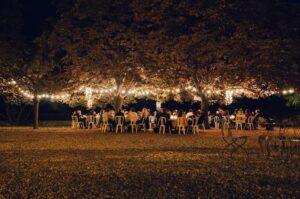 outdoor wedding ideas