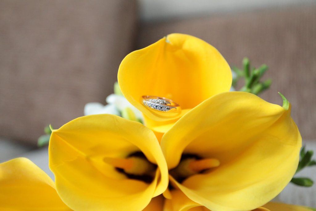 Calla lillies