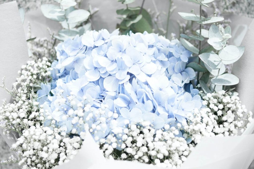 popular wedding flowers hydrangeas