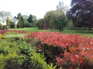 gardens at Eastwood Hall in Nottingham